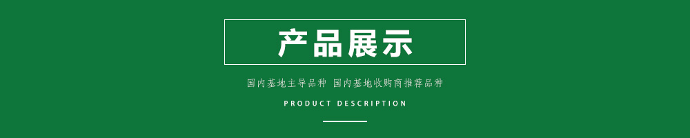 1557887467467126.jpg 00新產(chǎn)品.jpg