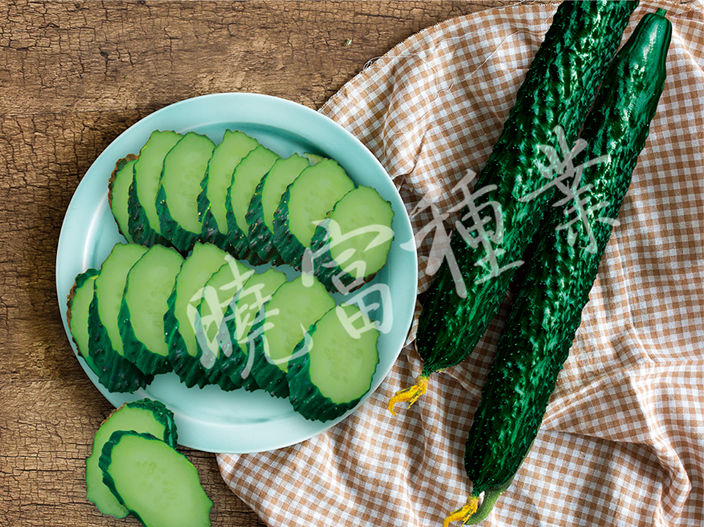 1585989861869099.jpg 02.jpg